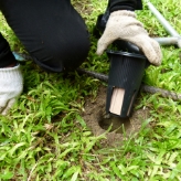 Termite-Monitoring