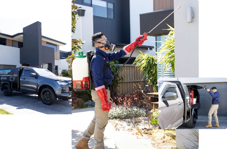 Qualified-pest-control-image