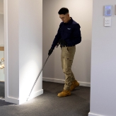 Termite-Inspections