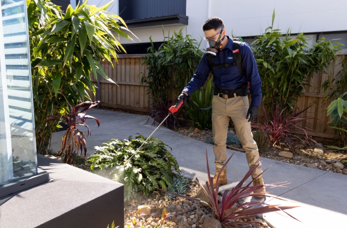 Commercial pest control