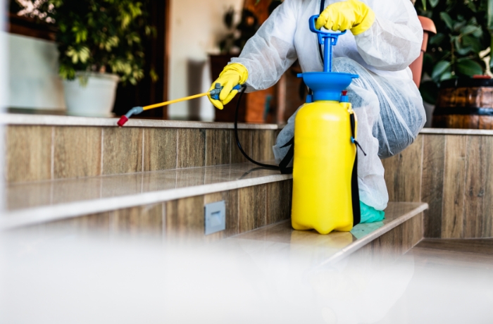termite-control-service-areas (8)